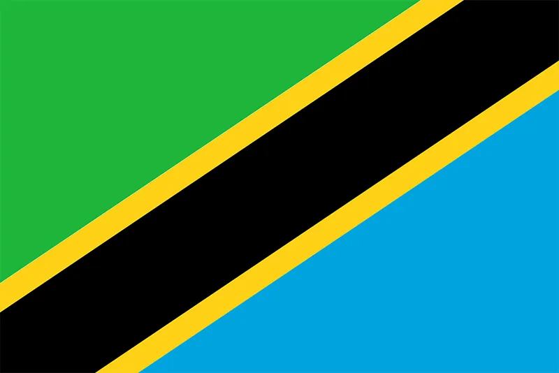 Tanzania Flag
